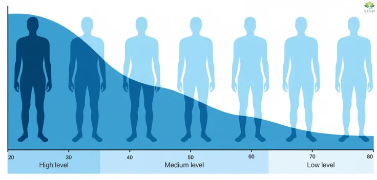 Graph showing testosterone levels by age, with high levels in youth and a decline over time, emphasizing the benefits of Alpha Tonic for boosting testosterone.