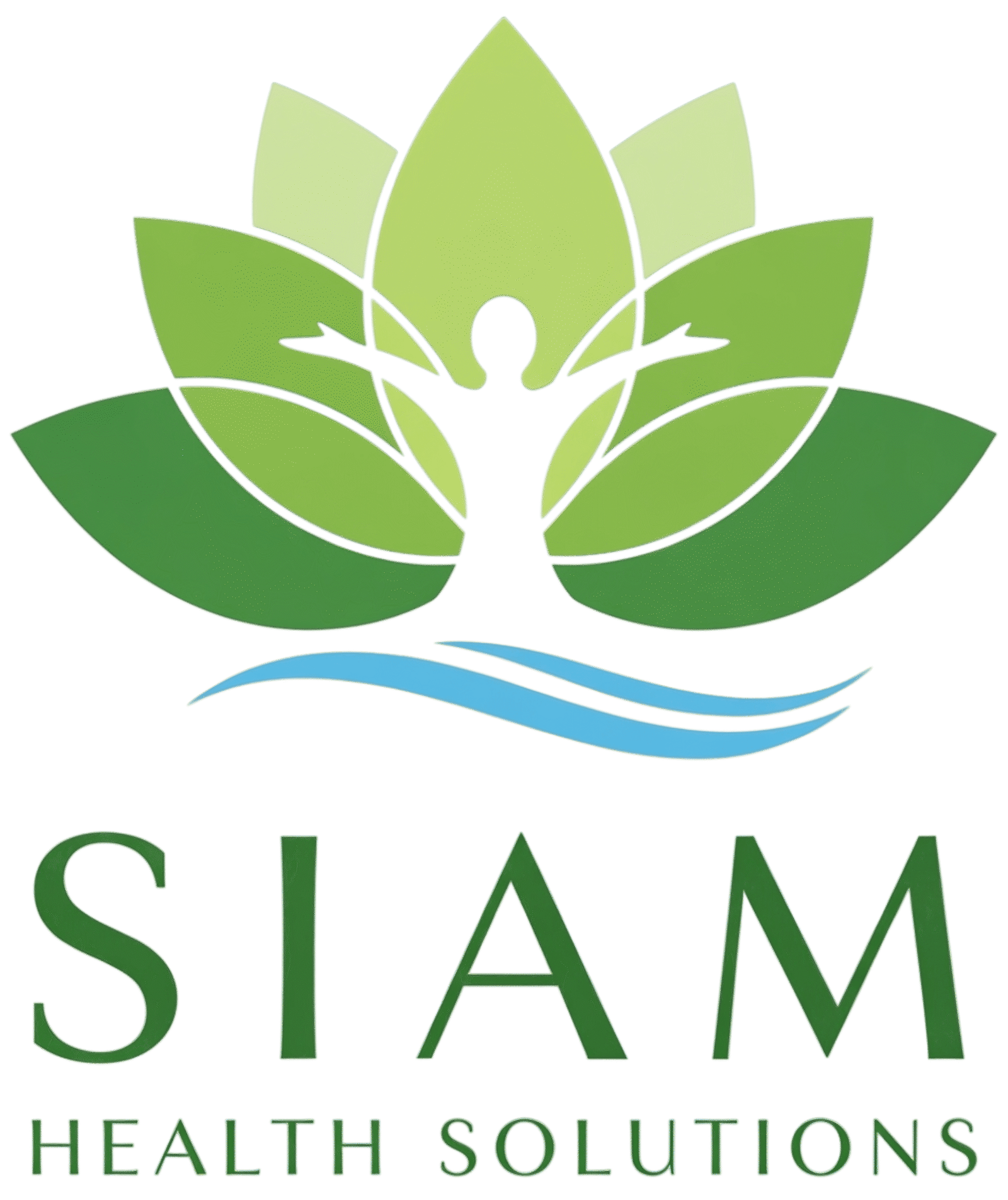 siam it solutions