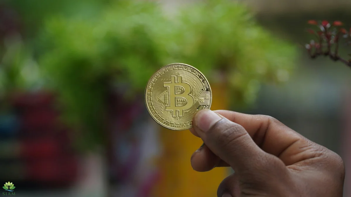 A hand holds a golden Bitcoin coin with a blurred green background, symbolizing the growth and impact of DeFi in the digital finance world.